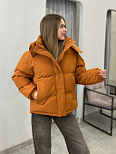 Куртка с капюшоном (демисезонная) 72462268\435