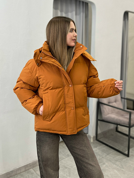 Куртка с капюшоном (демисезонная) 72462268\435