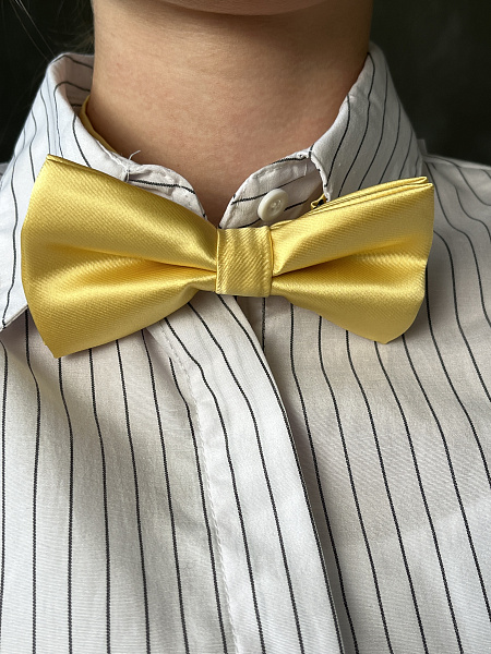 Галстук-бабочка 72454249\37