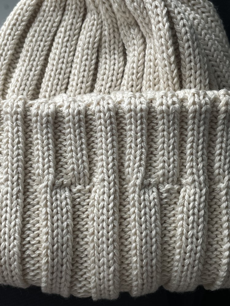 Шапка с отворотом (демисезонная) 72455651\19