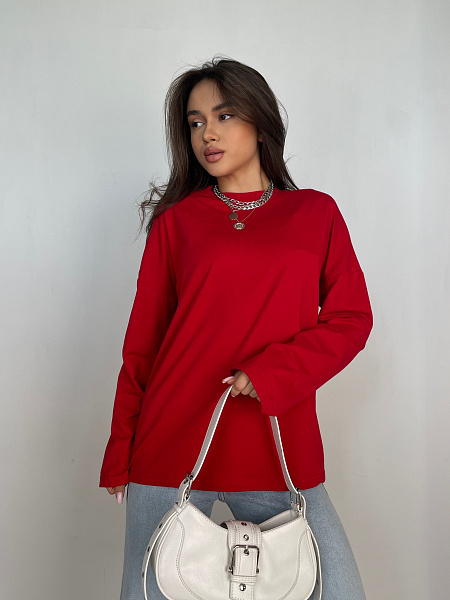 Лонгслив SHOPDAANNA 72455115\17