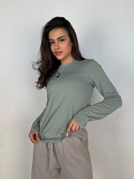 Лонгслив SHOPDAANNA 72455106\981