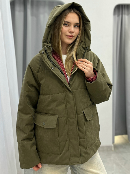 Куртка с капюшоном (демисезонная) 72462086\434