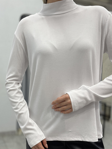 Водолазка 72460691\25