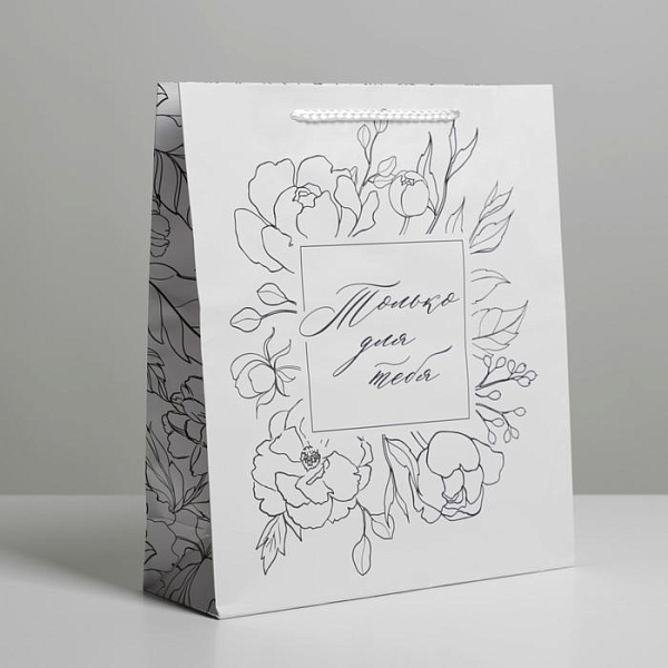 Пакет ламинированный 21 х 25 х 8 см 72451343\25