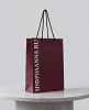 Пакет подарочный SHOPDAANNA 72459508\432