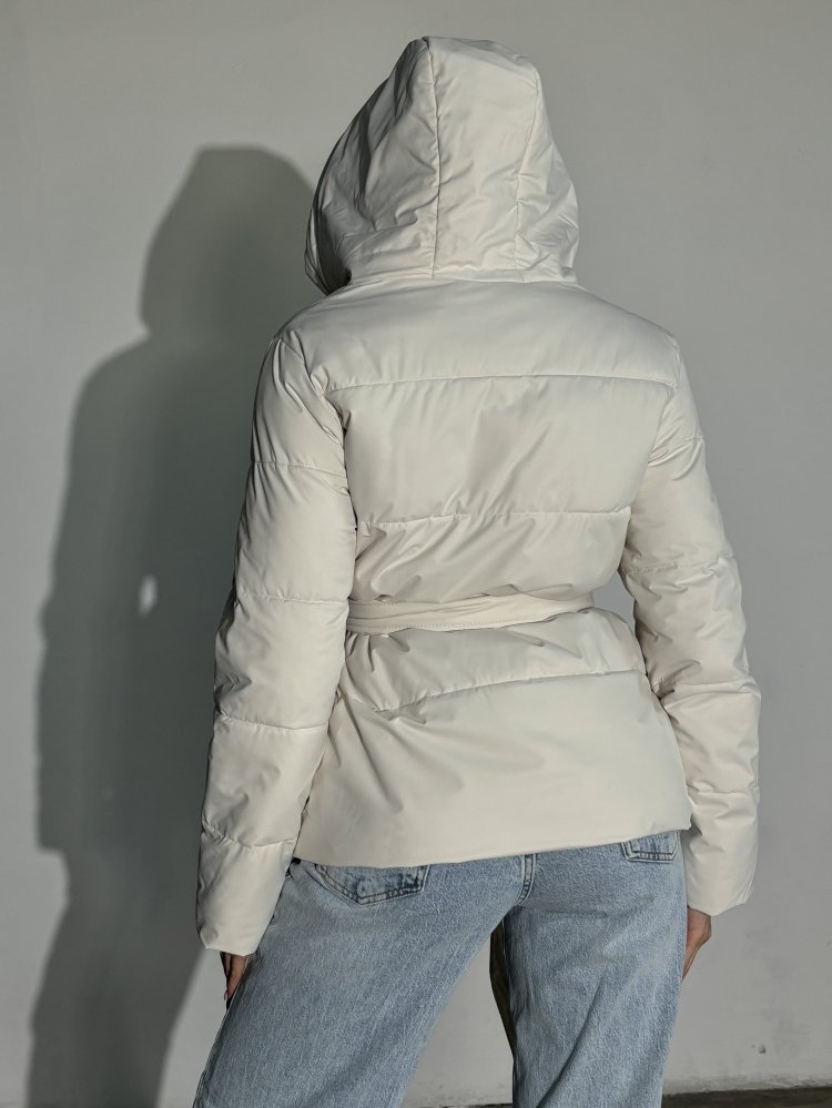 Куртка (демисезонная) 72459904\751