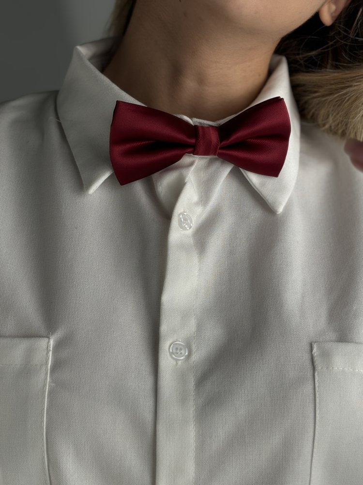 Галстук-бабочка Exclusive 72454249\428