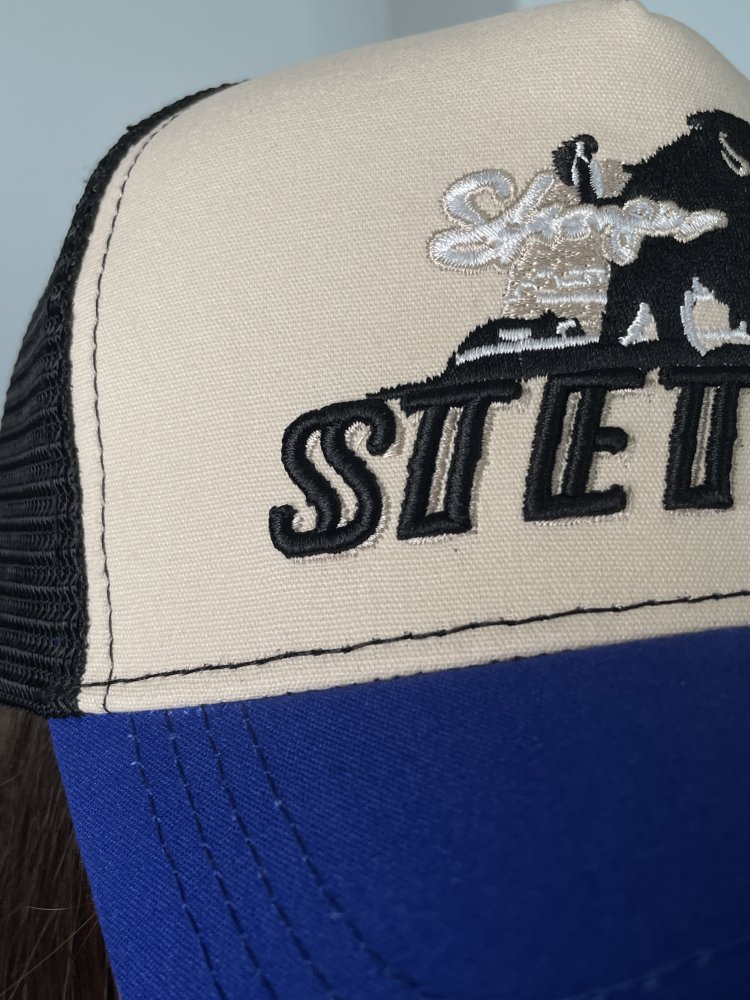 Кепка STETSON (сетка) 72452253\771