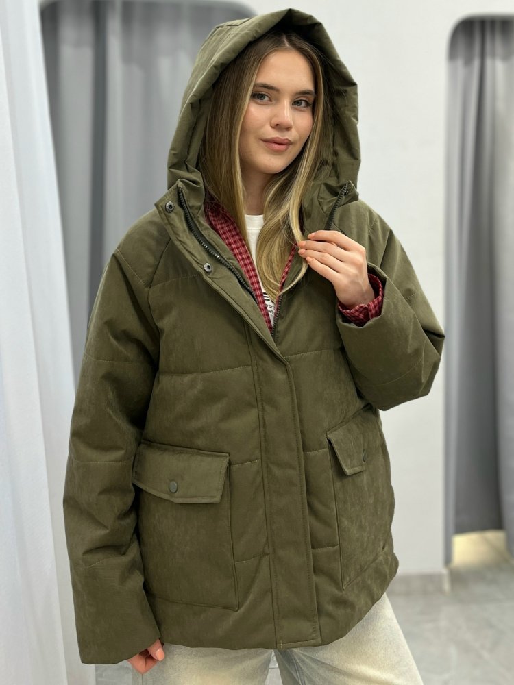 Куртка с капюшоном (демисезонная) 72462086\434