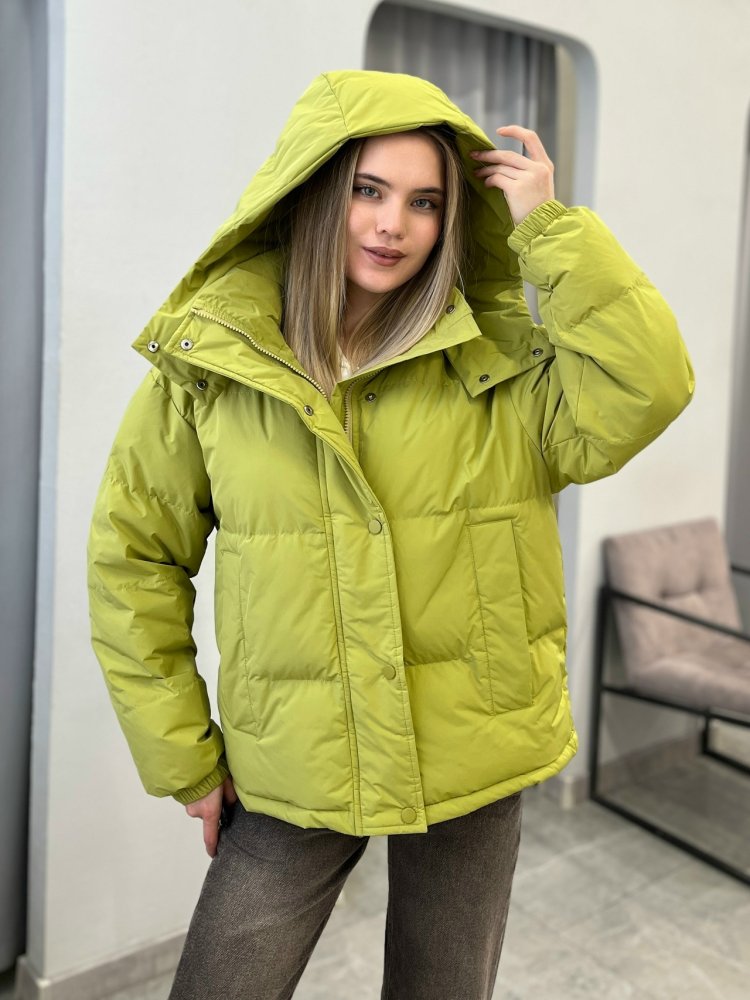 Куртка с капюшоном (демисезонная) 72462268\482