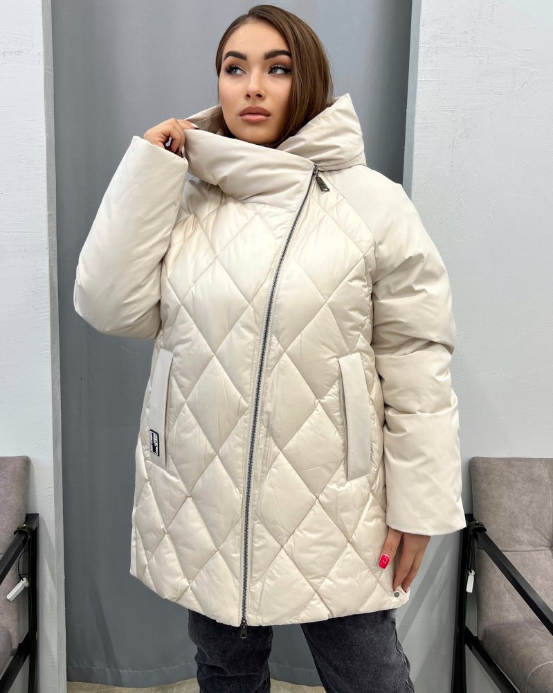 Куртка с капюшоном тинсулейт (зима) 72430409\717